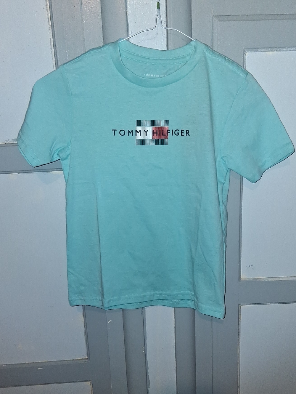 Tommy Hilfiger Aqua Graphic Logo Short Sleeve Tee